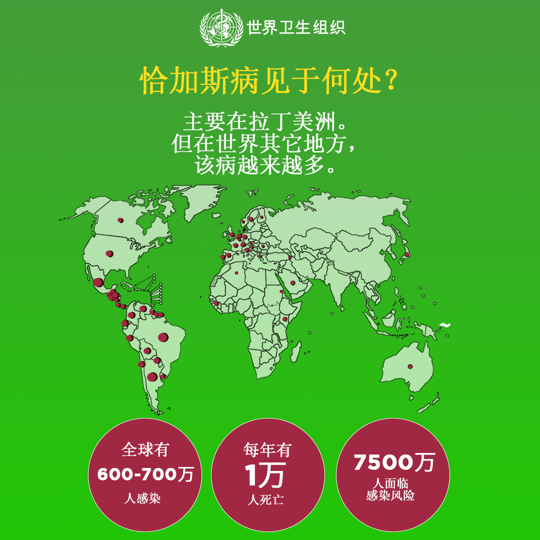 恰加斯病见于何处