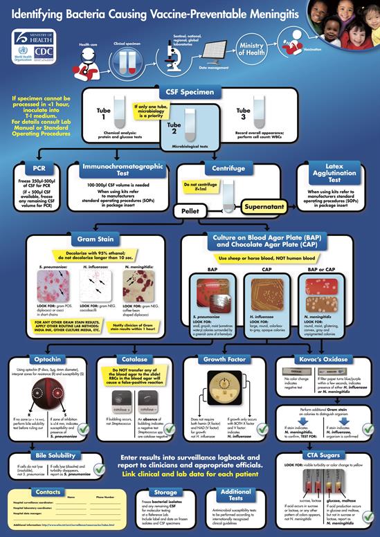 WHO_Lab_Poster_Meningitis_Diagnostics