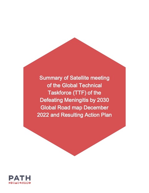 Summary of Satellite meeting of the Global Technical Taskforce (TTF) of the Defeating Meningitis by 2030 Global Road map December 2022 and Resulting Action Plan