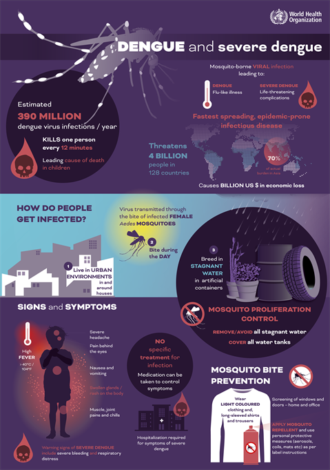 dengue_infographic