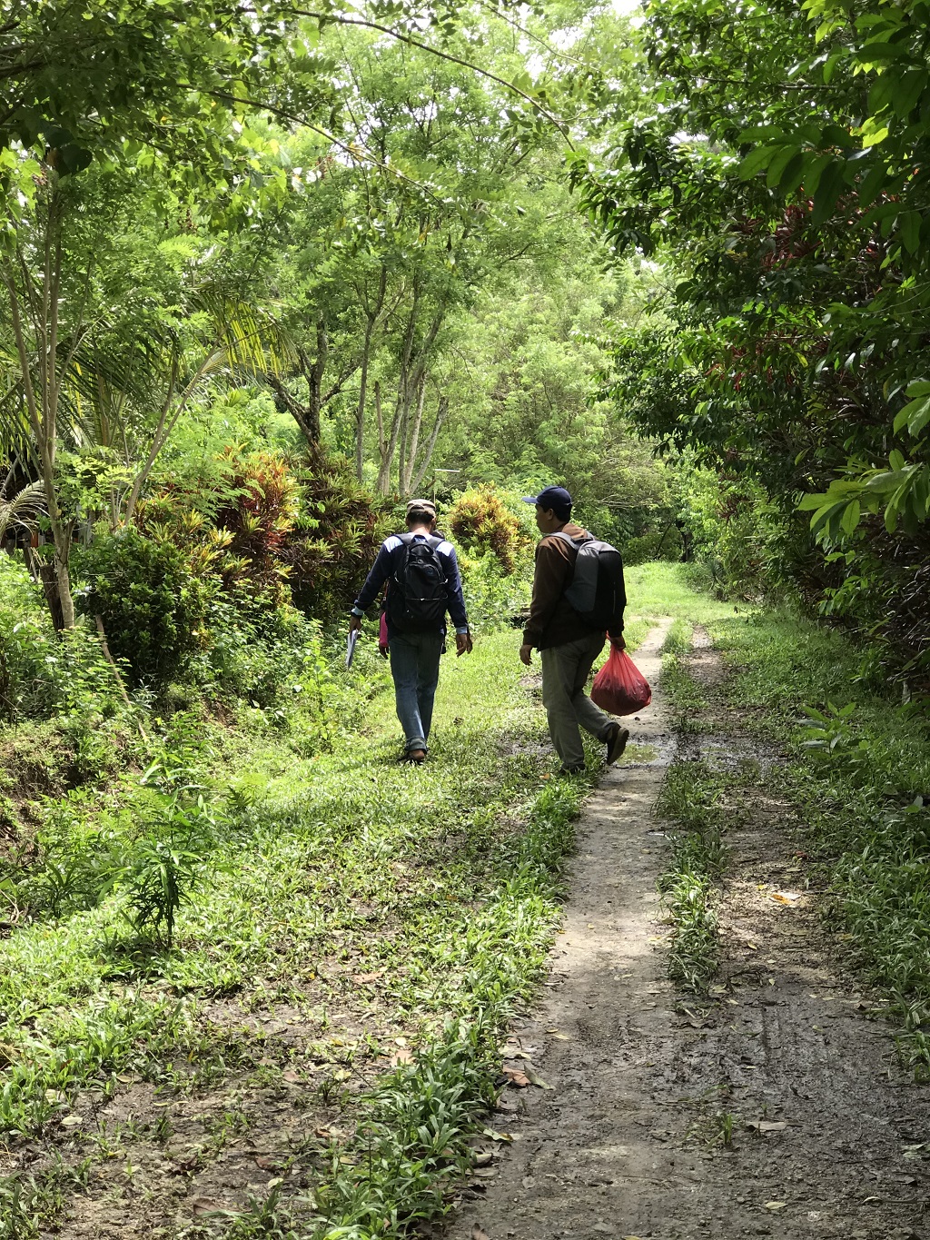 Malaria baseline data collection