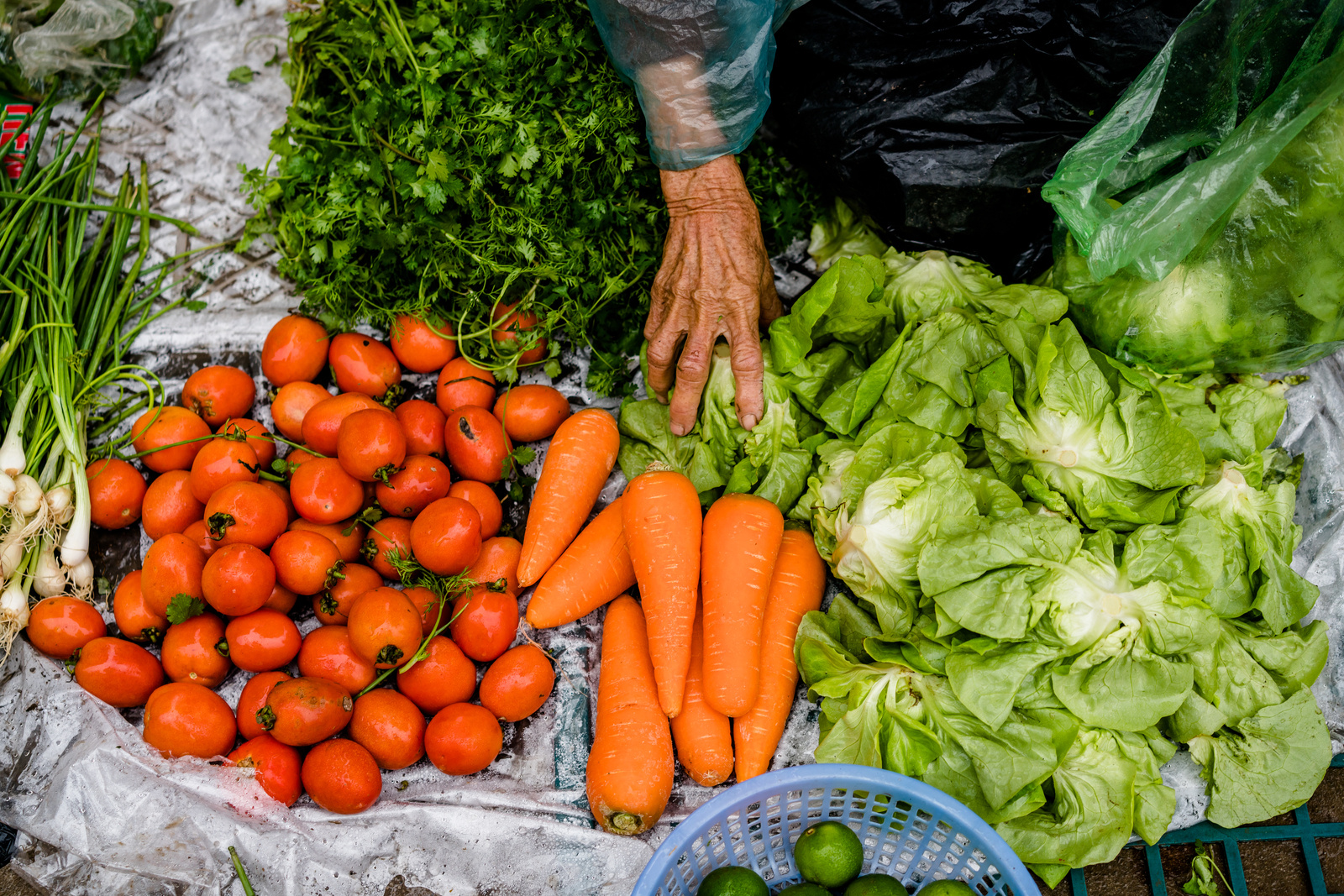 Vegetables are sold in a small local market in Doi Son village, Ha Nam Province, Vietnam.