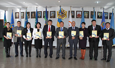 subnational_health_systems6